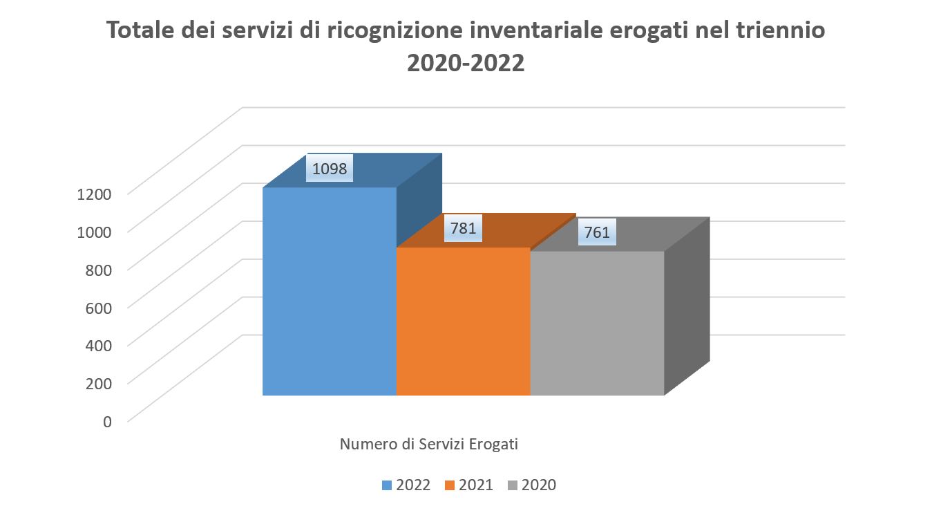 grafico-servizio-ricognizione-inventariale-1